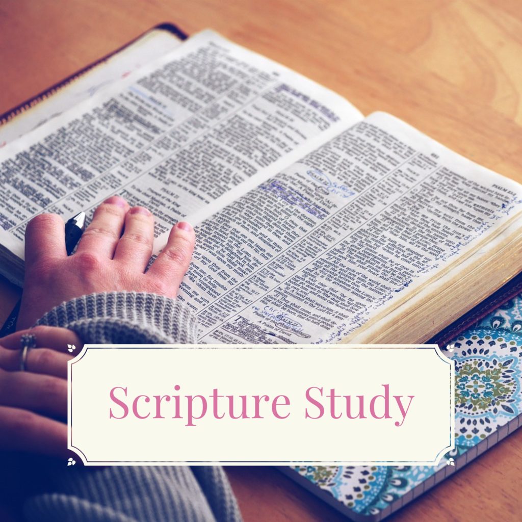 Scripture Study