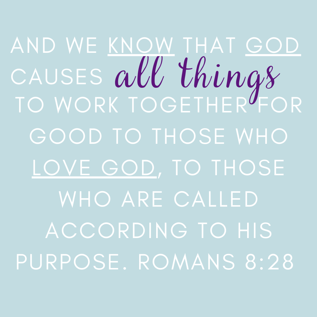 Text of Romans 8:28