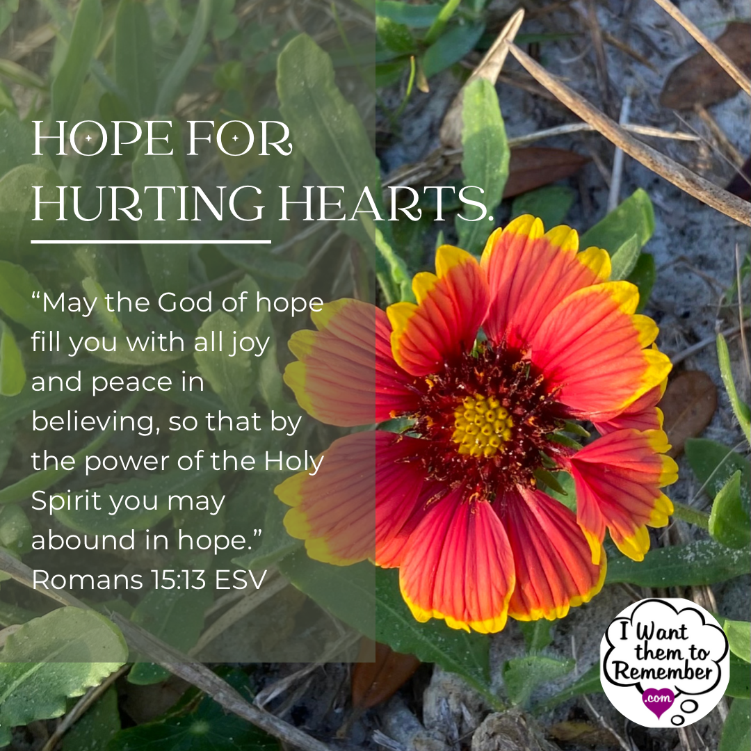 Orange and yellow wildflower with hope for hurting hearts and Romans 15:13