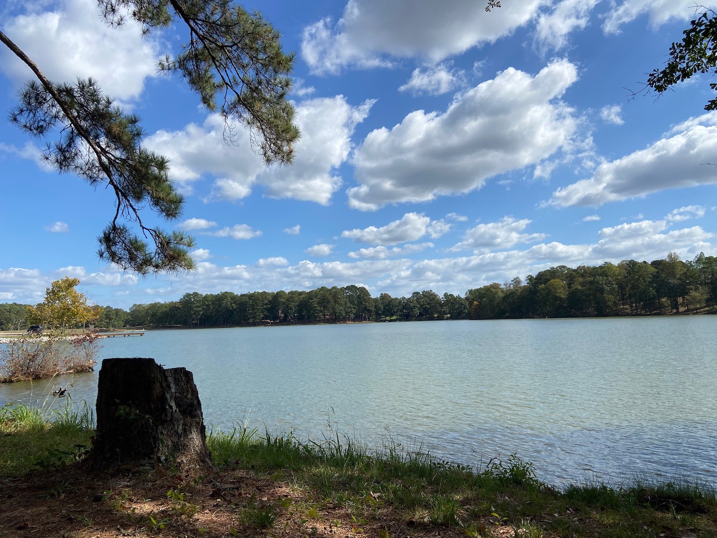 view of Prentiss Walker Lake near Mize, MS