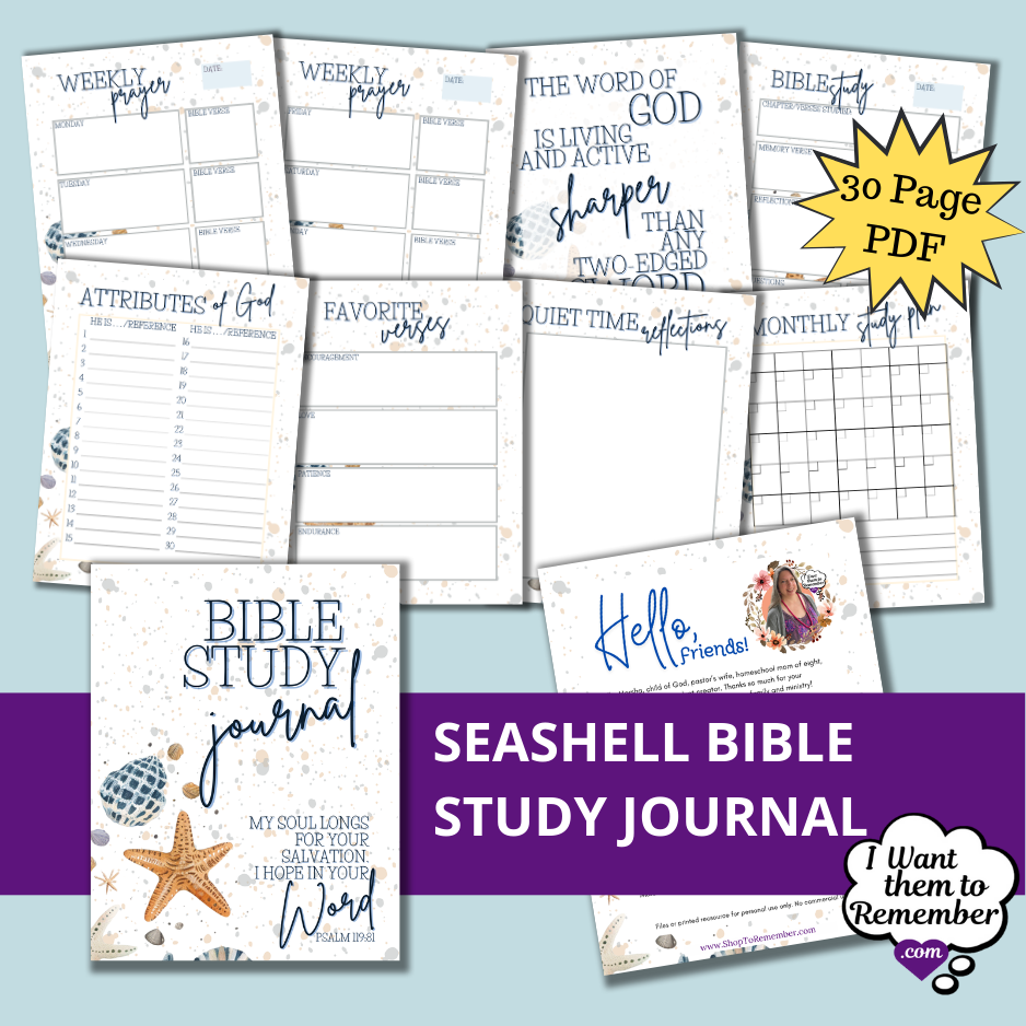 seashell Bible study journal sample pages